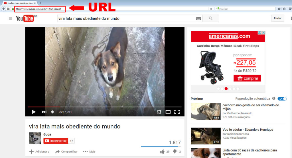 como baixar videos do youtube